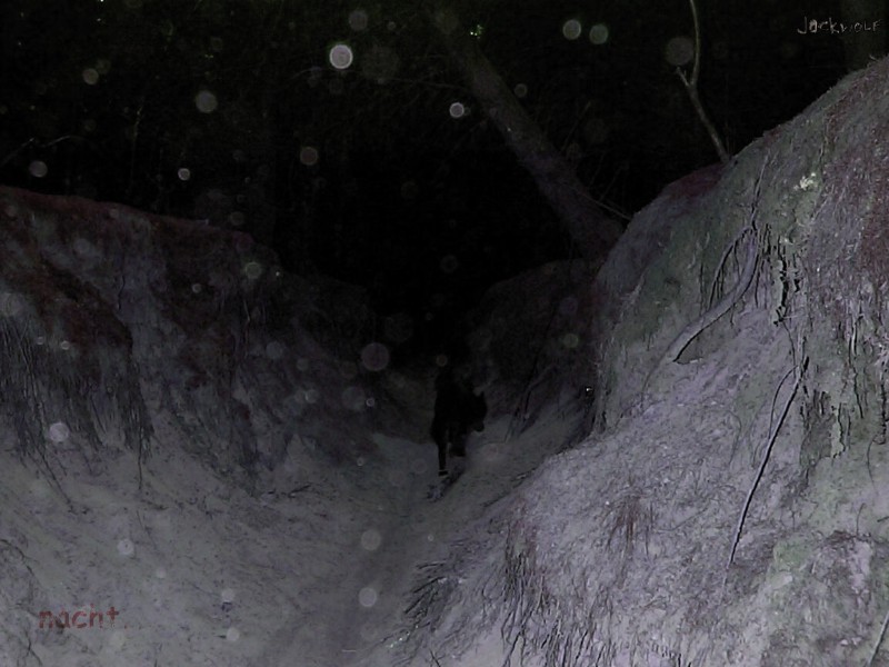 nacht.jpg