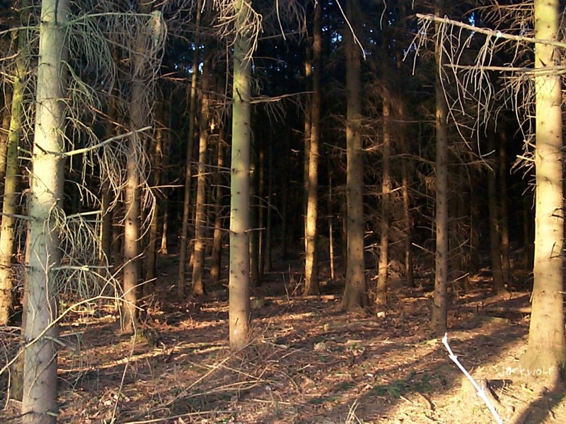 sonne.jpg